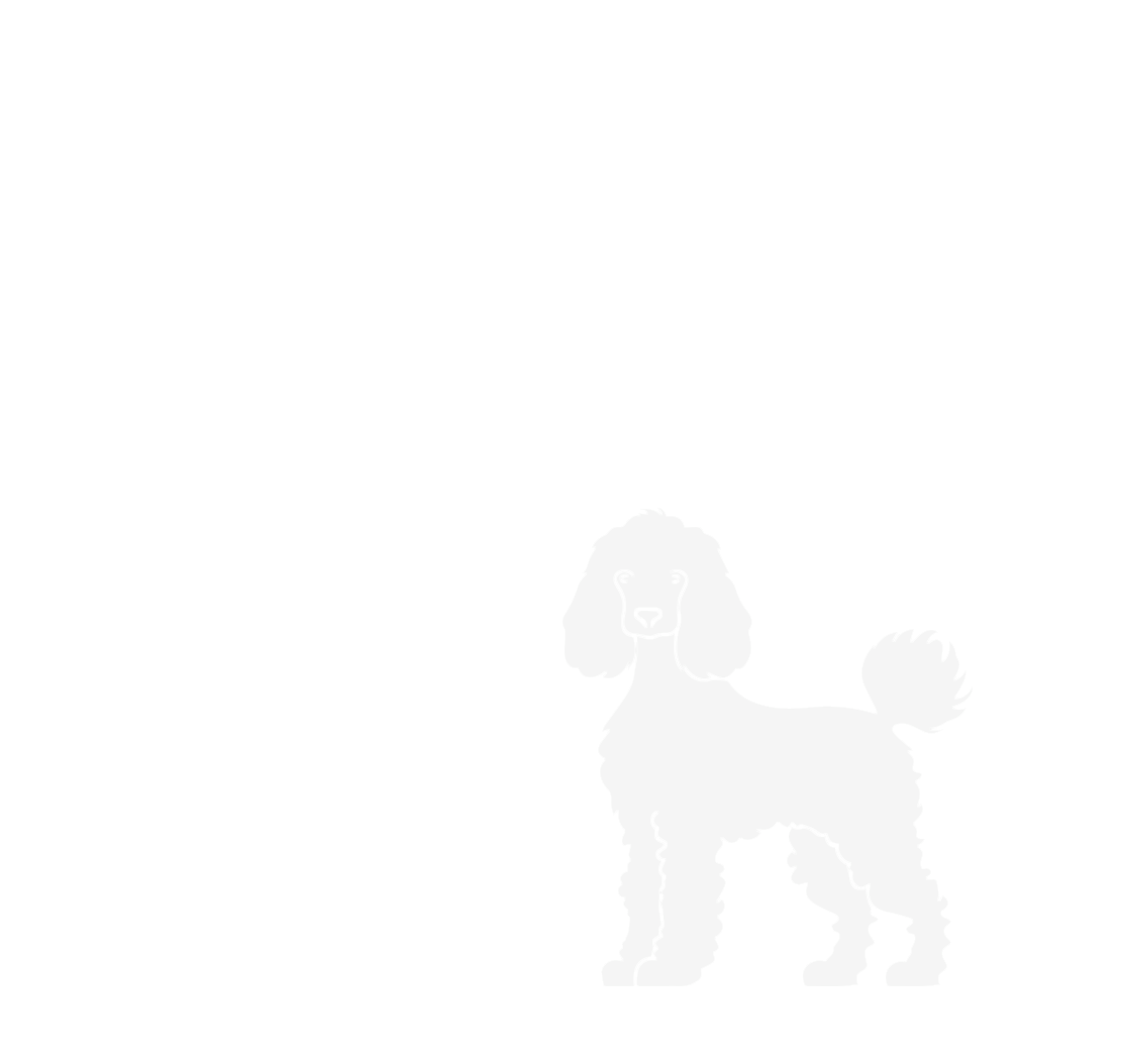 Poodle Silhouette Image